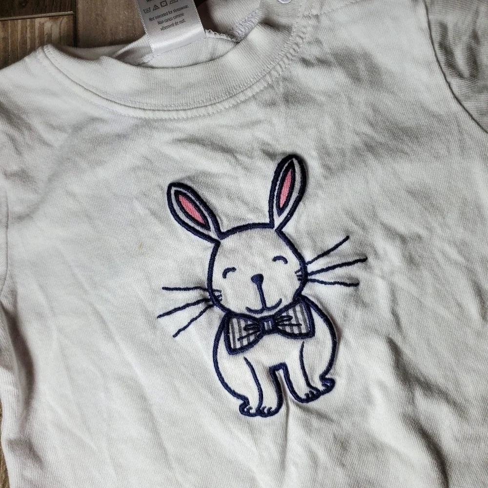 Gymboree embroidered baby